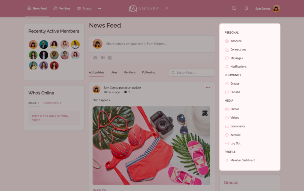 Example of Widget Sidebar Menu placed on the right side of a page.