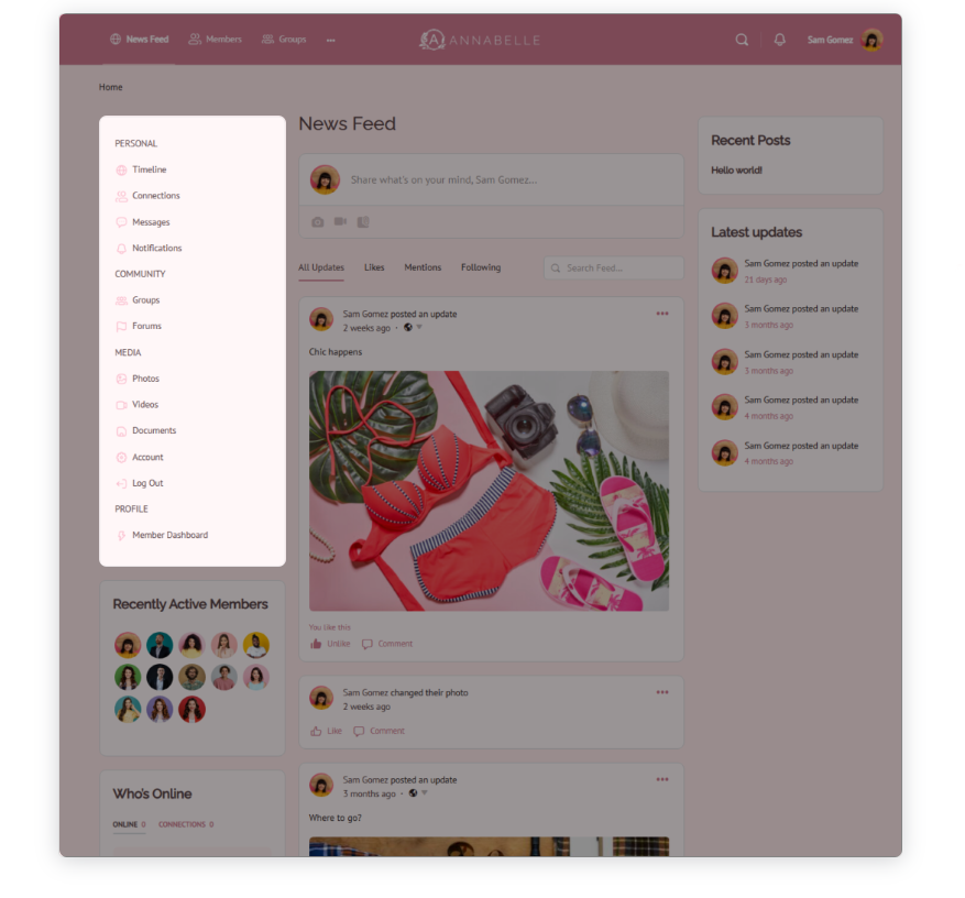 Example of Widget Sidebar Menu placed on the left side of a page.
