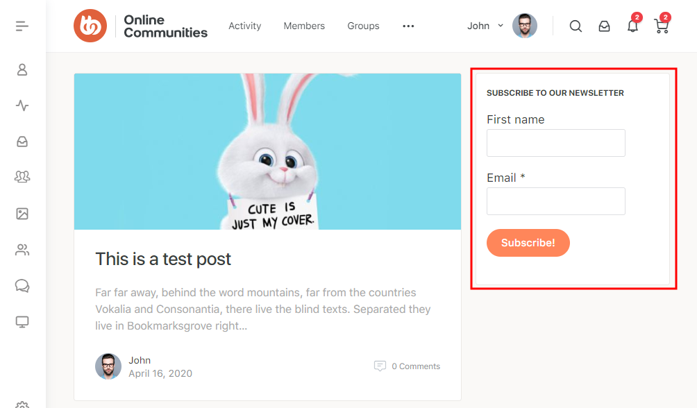 A website page shows a blog post with a cartoon bunny holding a sign that reads CUTE IS JUST MY COVER. On the right, theres a Subscribe to our newsletter form asking for first name and email.