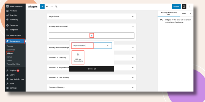This screenshot shows how to the My Connections Widget can be added.