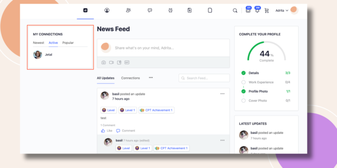 This screenshot shows how to the My Connections Widget will be displayed...