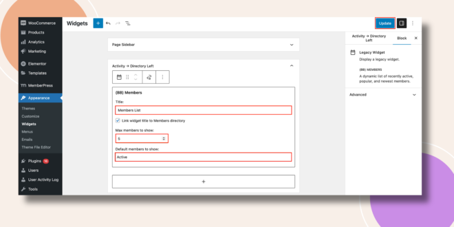 This screenshot shows how the members widget can be configured.