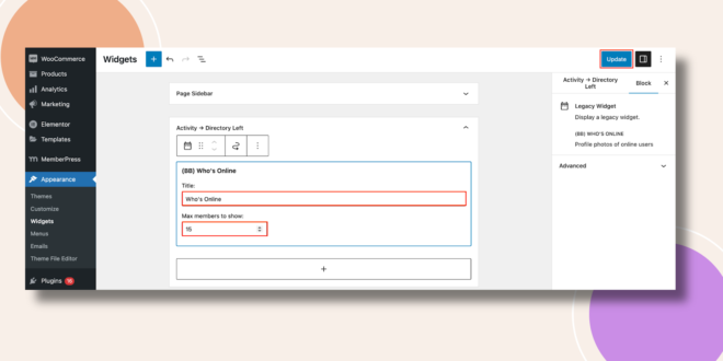 This screenshot shows how the Who's online widget can be configured..