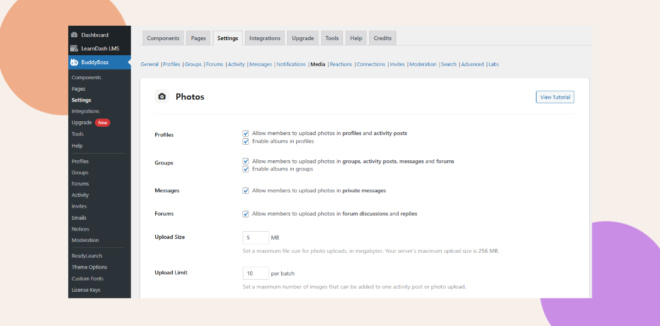 WordPress Dashboard showing BuddyBoss > Settings with the Media tab selected.