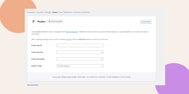 This screenshot shows what you should fill out for Pusher integration.