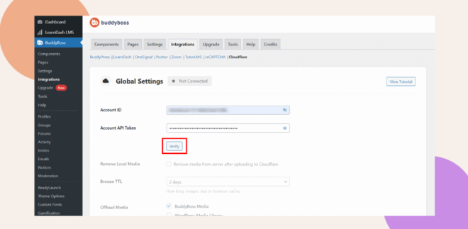 A website dashboard displays the BuddyBoss integrations settings page, showing fields for Account ID and Account API Token with a Verify button highlighted in red below the token field.