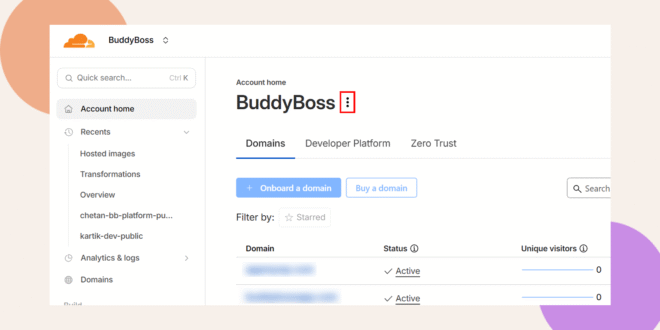 Screenshot of the BuddyBoss account home page, showing navigation on the left, with tabs for Domains, Developer Platform, and Zero Trust, and buttons to onboard or buy a domain.