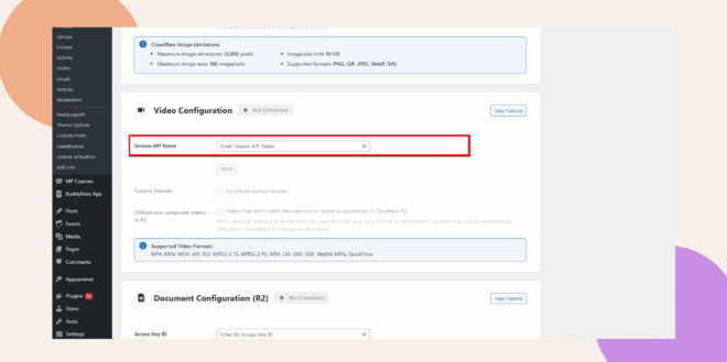 A screenshot of a website settings page shows the Video Configuration section with a highlighted field labeled Stream API Token outlined in red. Other configuration sections are visible above and below.