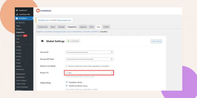 A BuddyBoss dashboard shows the Cloudflare integrations settings, with the Browse TTL field highlighted and set to 2 days. The interface features a white background and colored shapes in the corners.