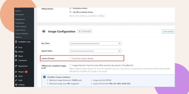Screenshot of a WordPress admin settings page showing the Image Configuration section, with the Custom Domain option outlined in red. The menu on the left lists site management options.