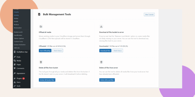 Screenshot of a Bulk Management Tools dashboard with options to offload media, download files from a bucket, delete files from a bucket, and delete files from the server. A sidebar menu is visible on the left.