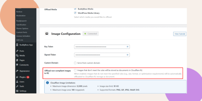 Screenshot of a WordPress plugin settings page, highlighting the Image Configuration section with an option to offload non-compliant images to Cloudflare R2, and details about image limits and formats.